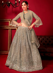 Saniya Gray Heavy Designer Gown
